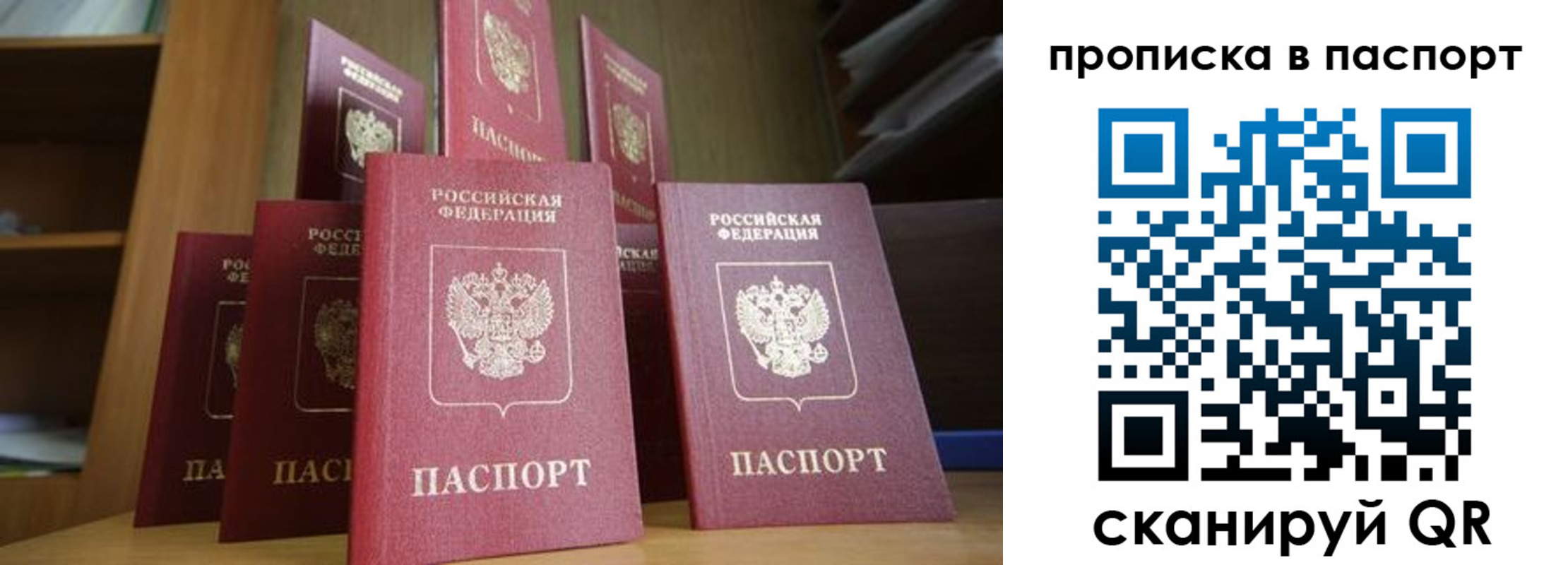 прописка законно в Фрязино