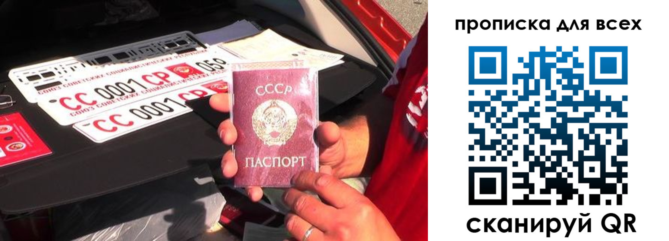 прописка для школы в Фрязино